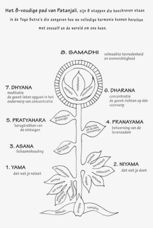 8 Voudige Pad Personal Development, Life Coaching - 8 Voudige Pad Patanjali #381109