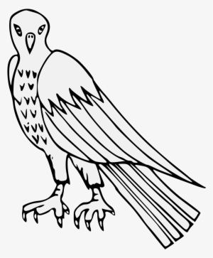 Details, Png - Vulture #381373