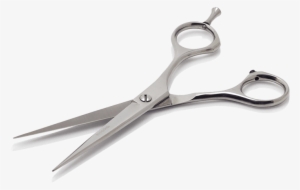 Njord Male Grooming - Dog Groomer #381572