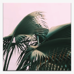 Fern - Typography Doenvang #381915