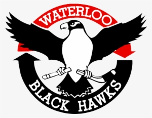 Waterloo Black Hawk - Wikipedia #381940