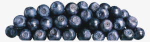 Blueberries Png Image - Blueberry #382703