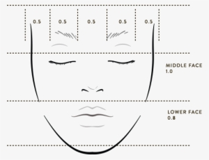 The Golden Ratio - Line Art #383002