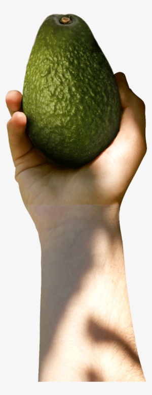 Avocado With Hand Png #383563