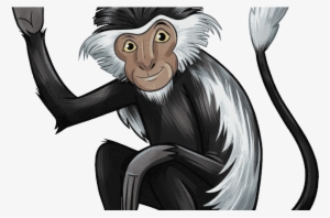 Tumbili Colobus Monkey - Cartoon #383631
