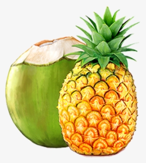Packed Coconut Water With Pineapple Juice - Coconut Water #384007
