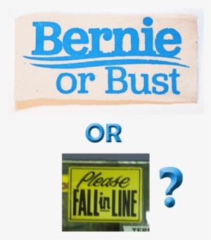 This Is The Revolution Bernie Sanders Has Led Us To #384327