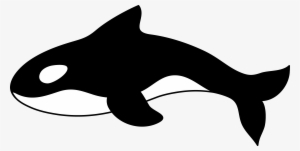 Cartoon Whale Png #384343