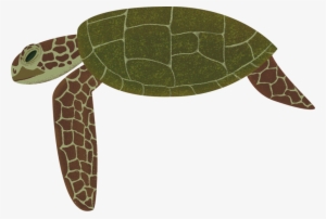 Turtle - Portable Network Graphics #384482