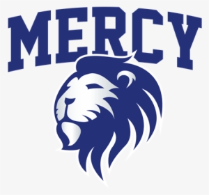 Spiritwear Store - Spirit Shop Inc. #384544