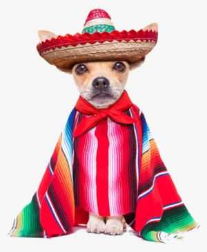 We Will Be Hosting An All Day Cinco De Mayo Event With - Cinco De Mayo 2018 #384710