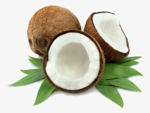 Proven Research On The Benefits Of Virgin Coconut Oil #384726