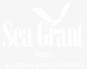 Sea Grant Texas #385039