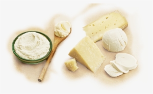 Parmigiano Reggiano Is A D - Beyaz Peynir #385097