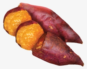 Search For - - Sweet Potato Icon #385332