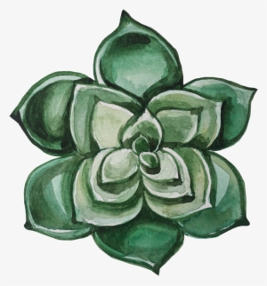 12 - Succulent Plant #385355