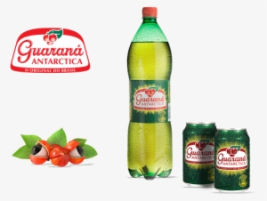 Guarana Antarctica - 12 Wholesale Double Wall Acrylic Tumblers Personalized #385383