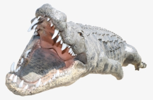 Free Png Crocodile Png Images Transparent - Crocodile Back Png #385908