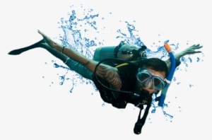 Diving Png #386438 Diving Png #386438