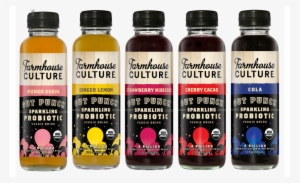 Farmhouse Culture Gut Punch #387370