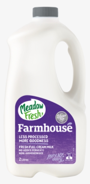 Plastic Bottle #387472