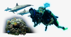 Start Diving - 5'x7'area Rug #387514