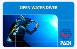 Padi Open Water Diver - Padi Open Water Diver Card #387595