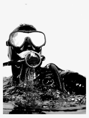 Dive Courses By Padi - Dead Men's Silver: The Story Of Australia's Greatest #387598