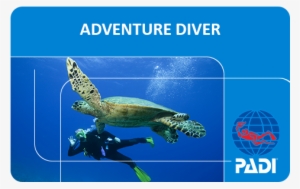 Padi Adventure Diver Course - Padi Open Water Diver Card #387801