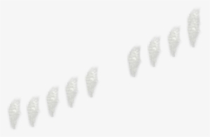 Fumaça - Portable Network Graphics #389358