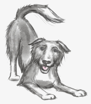 Keep The Tail Wagging Icon A Sketch Of Our Dog Blue - Doberman Dog Food Diet #3800349