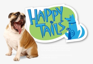 Happy Tails Pet Products - Happy Tails Products #3800623