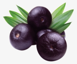 Acaı Berry #3800721 Acaı Berry #3800721