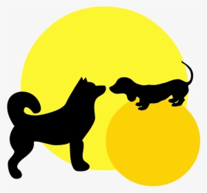 Siberian Husky #3800770