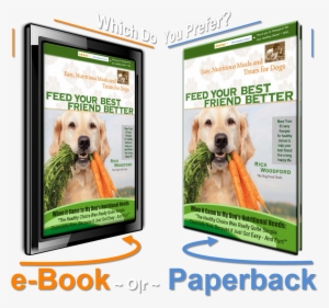 Your Dog's Tail Is Wagging Big-time Now #3800845