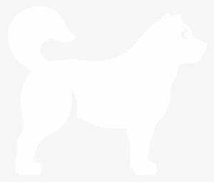 Dog Food Store, Shop Natural Dog Food, Toys In Albuquerque - Companion Dog #3800998