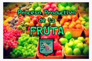 Proceso Productivo De La Fruta - Trái Cây Nhập Khẩu #3801568