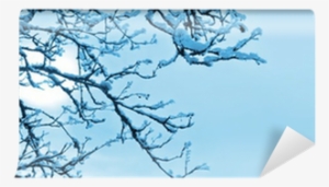 Winter Background With Frozen Tree Wall Mural • Pixers® - Blue #3802149 Winter Background With Frozen Tree Wall Mural • Pixers® - Blue #3802149