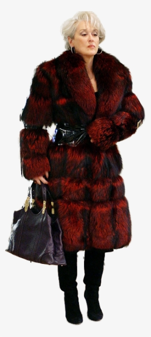 Meryl Streep, Entourage, Photoshop - Fur Clothing #3802722