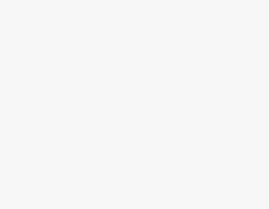 Bg Wedding Push - White Cinematic Bars Png #3803008