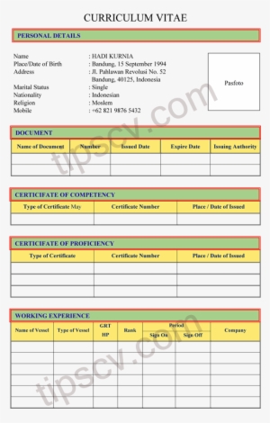 Contoh Curriculum Vitae Pelaut #3804395
