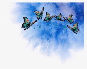 Png Butterflys Schmetterling Explosion Blau Wolke #3804706
