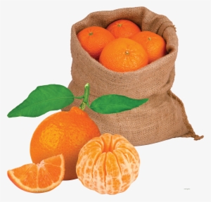Mandarin #3804919