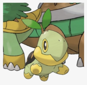 Photo - Turtwig Pokémon #3805227