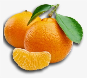 Mandarin - Tangerines #3805568