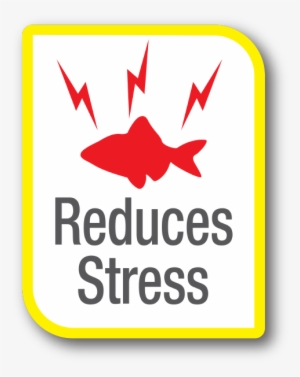 Catering Management Book #3805610