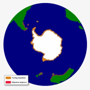 The Distribution Of The Adelie Penguin #3806626