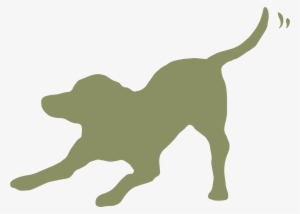 Country - Dog Catches Something #3807978