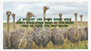 We Are Located In Whangarei Cdb At 8 Vine Street, Just #3808206