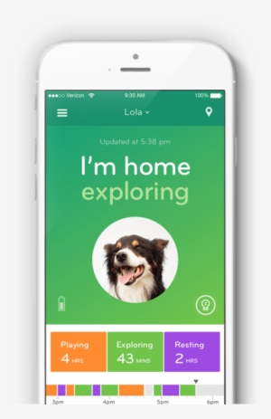 Mobile Tracking Ui - Dog Tracking App #3808758